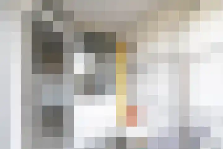 Vekenoord 79 Breda thumbnail 31