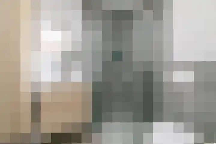 Vekenoord 79 Breda thumbnail 39