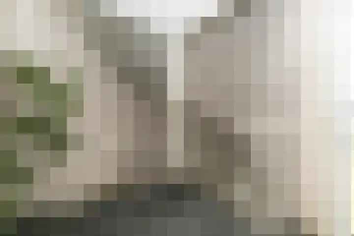 Vekenoord 79 Breda thumbnail 40