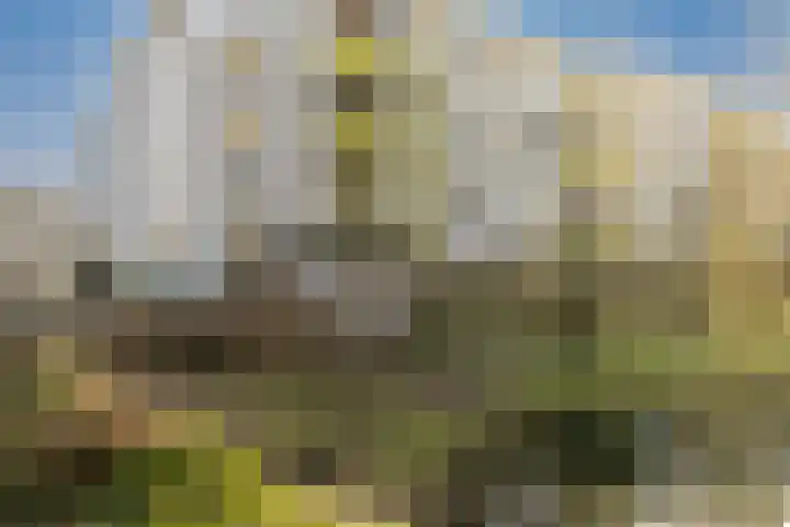 Vekenoord 79 Breda thumbnail 45