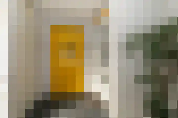 Vekenoord 79 Breda thumbnail 8