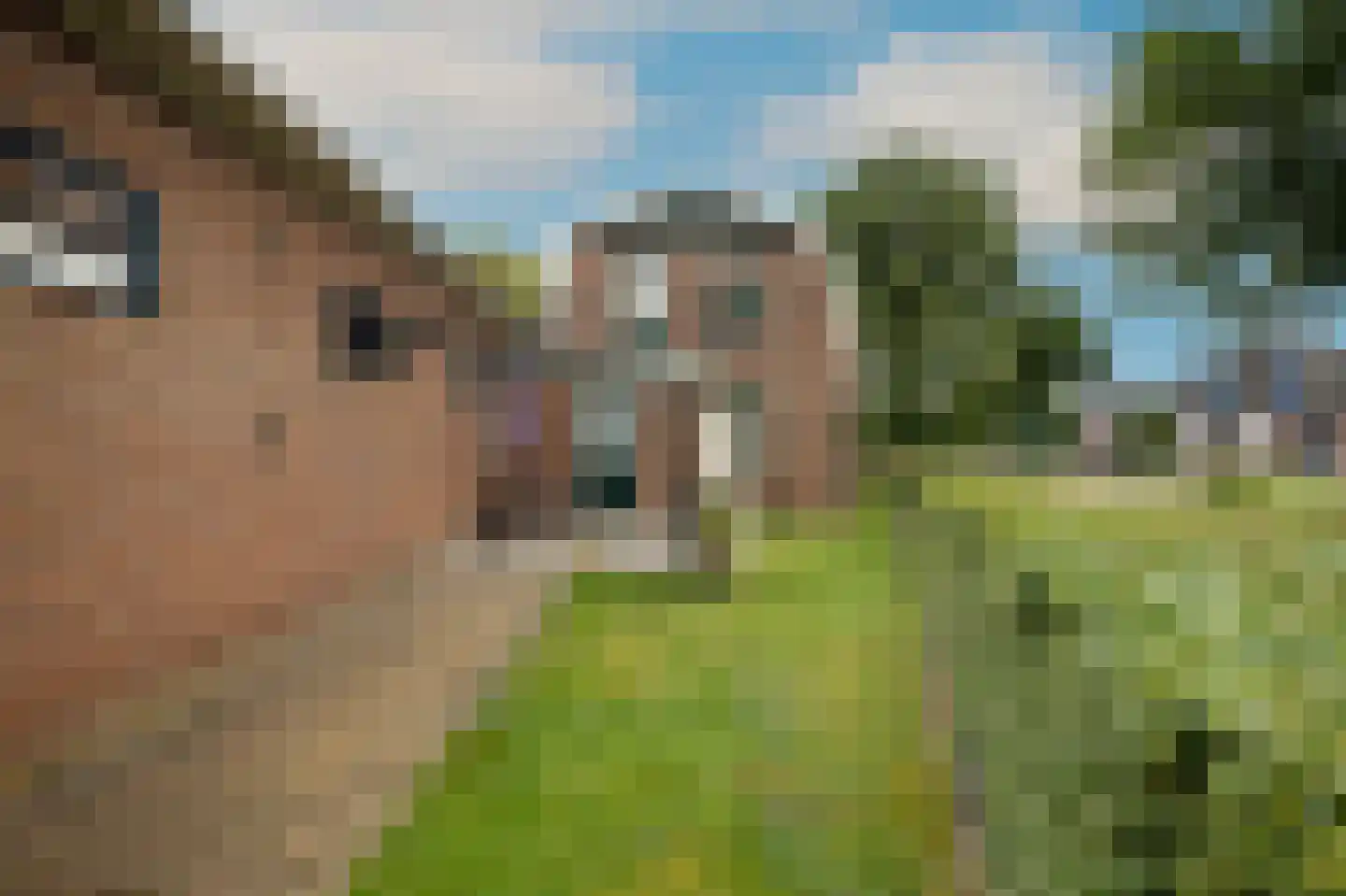 Vekenweg 1 Abbekerk thumbnail 29