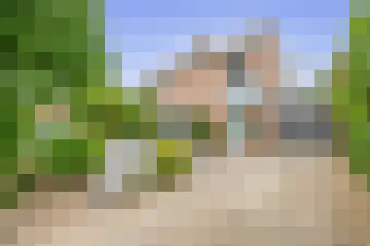 Velakker 16 Nuenen thumbnail 11
