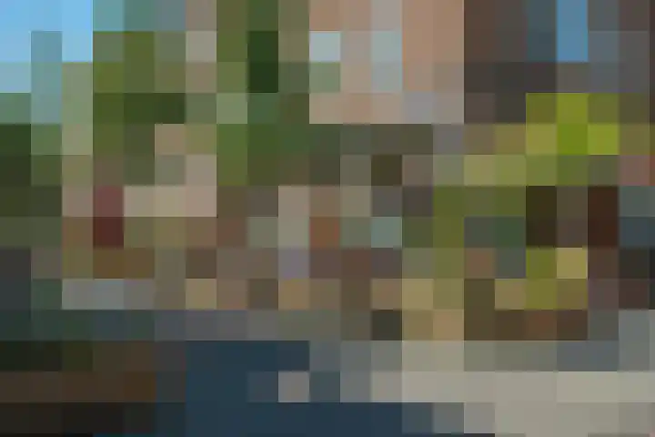 Velakker 16 Nuenen thumbnail 21