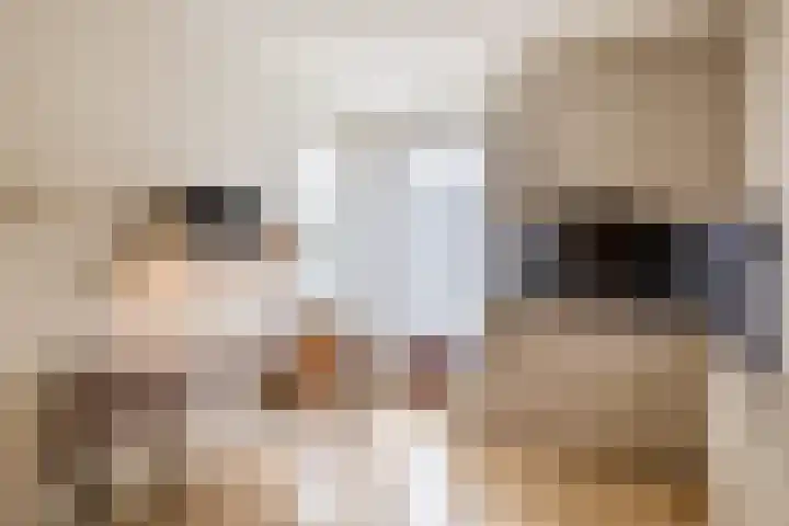 Velakker 16 Nuenen thumbnail 23