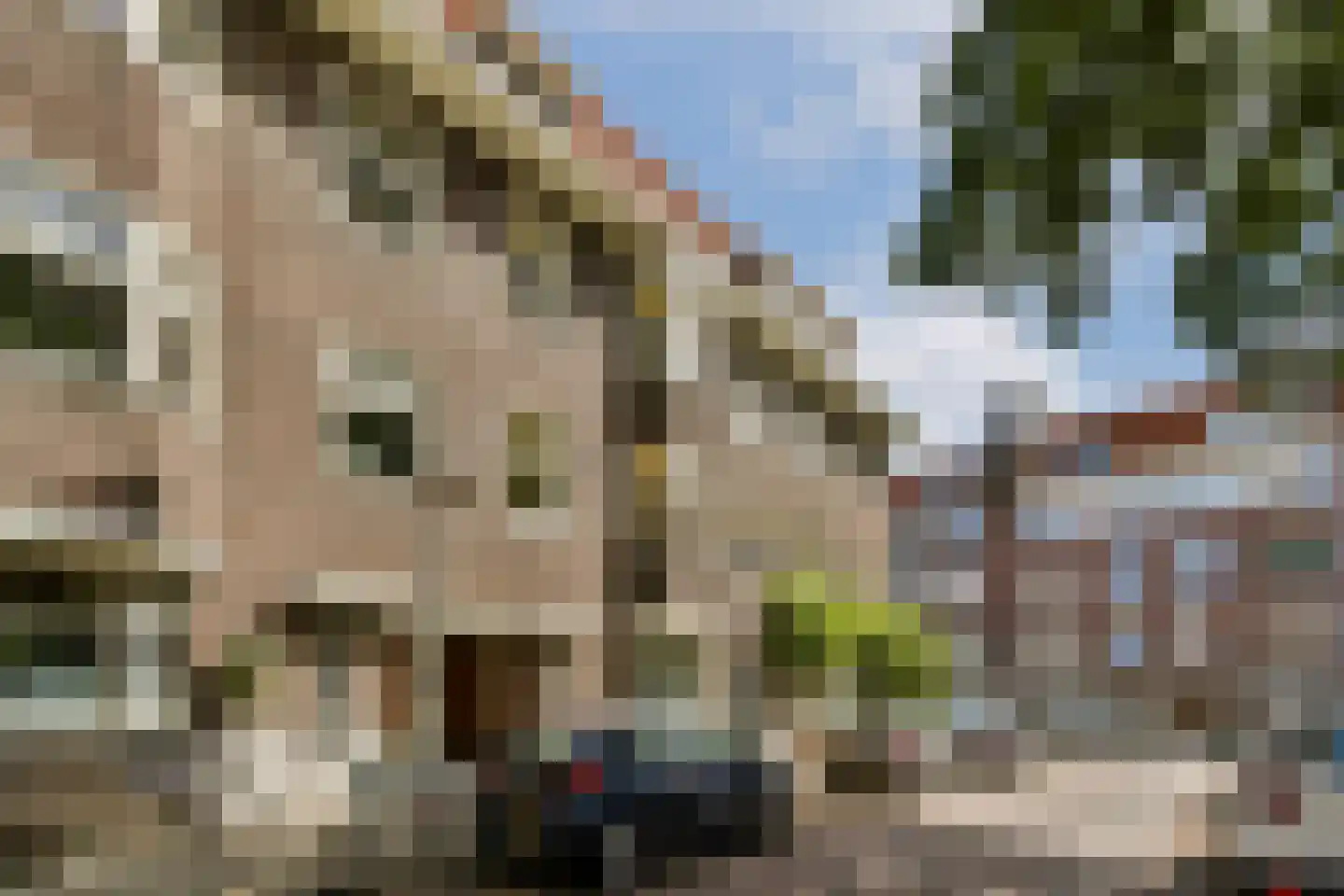 Velakker 16 Nuenen thumbnail 58