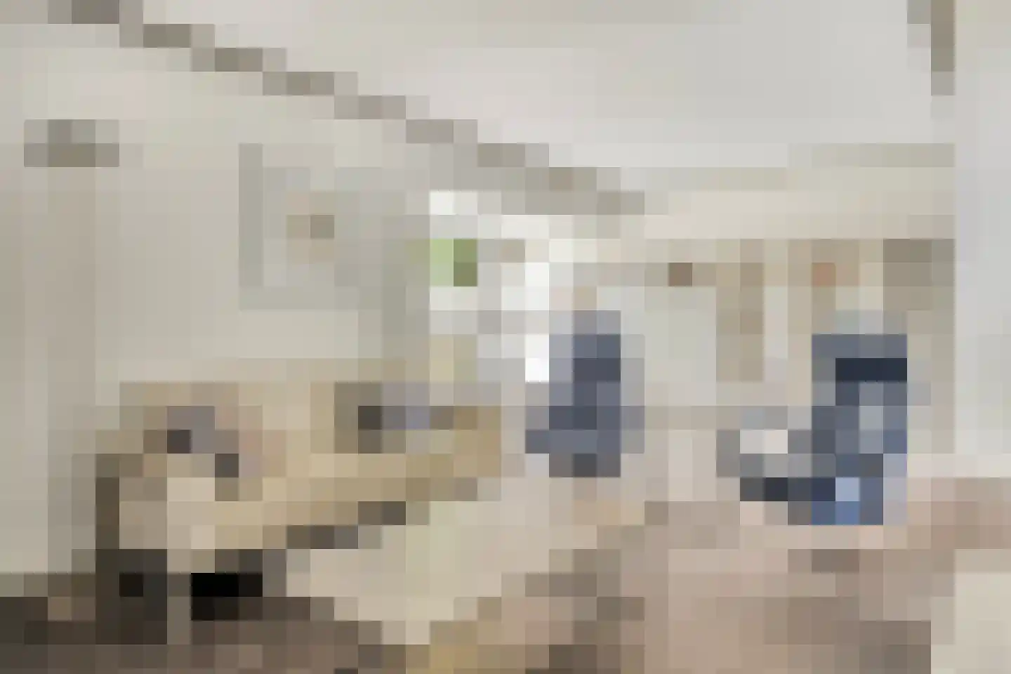 Velakker 19 Nuenen thumbnail 14