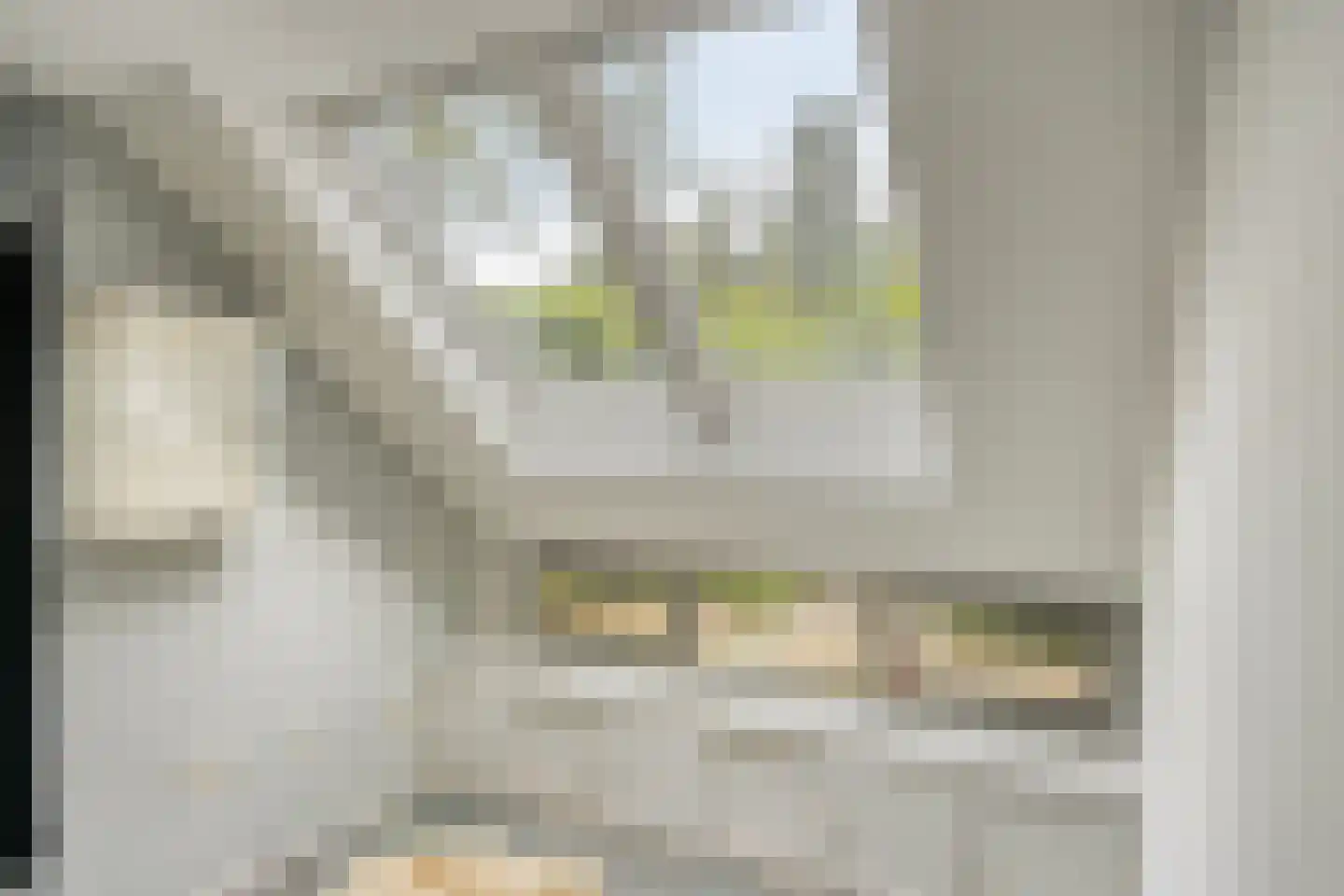 Velakker 19 Nuenen thumbnail 17