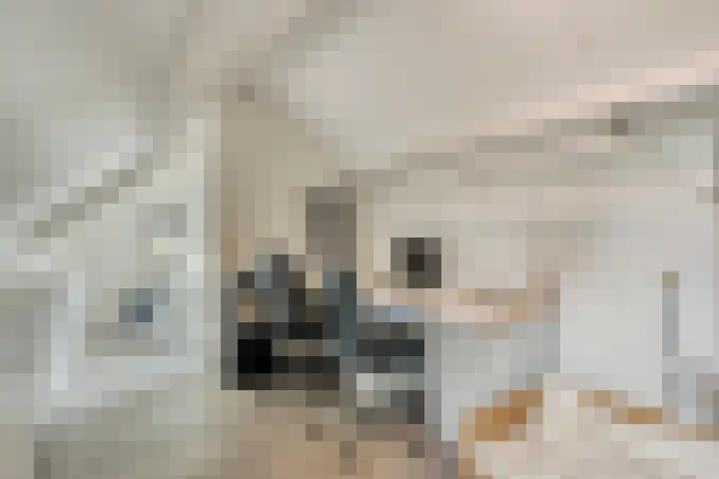 Velakker 19 Nuenen thumbnail 26