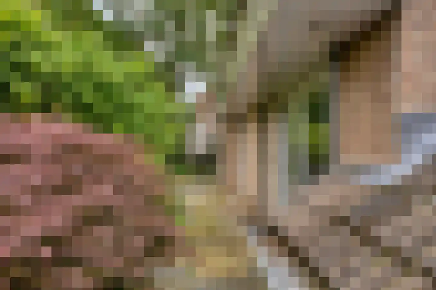 Velakker 19 Nuenen thumbnail 44