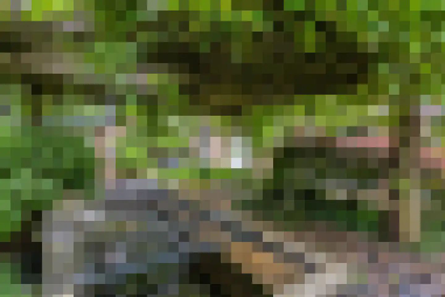 Velakker 19 Nuenen thumbnail 45
