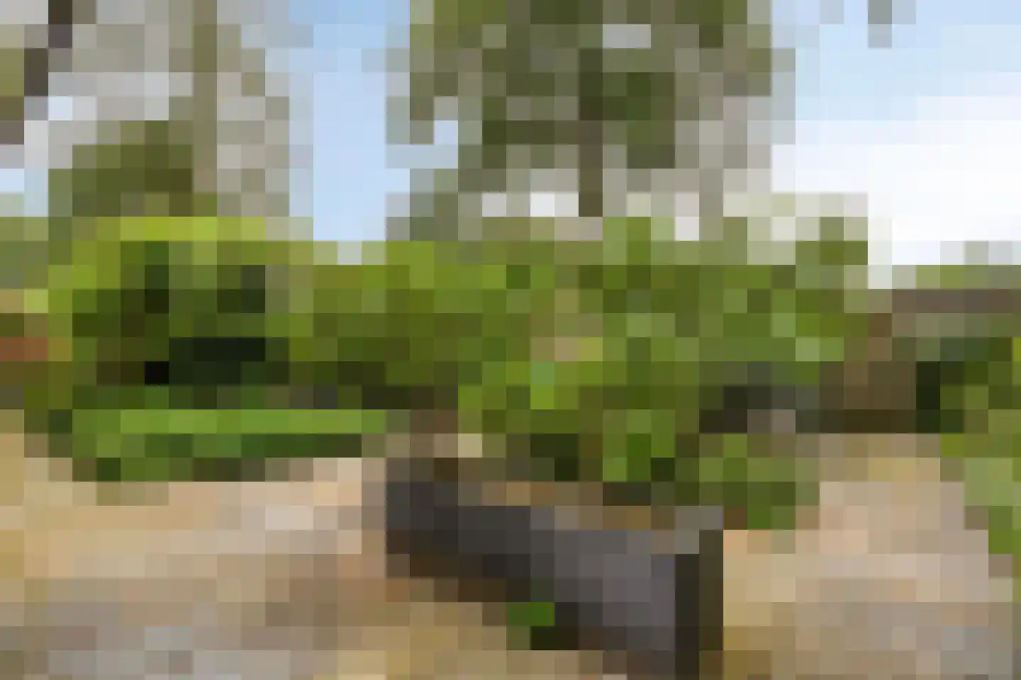 Velakker 19 Nuenen thumbnail 47