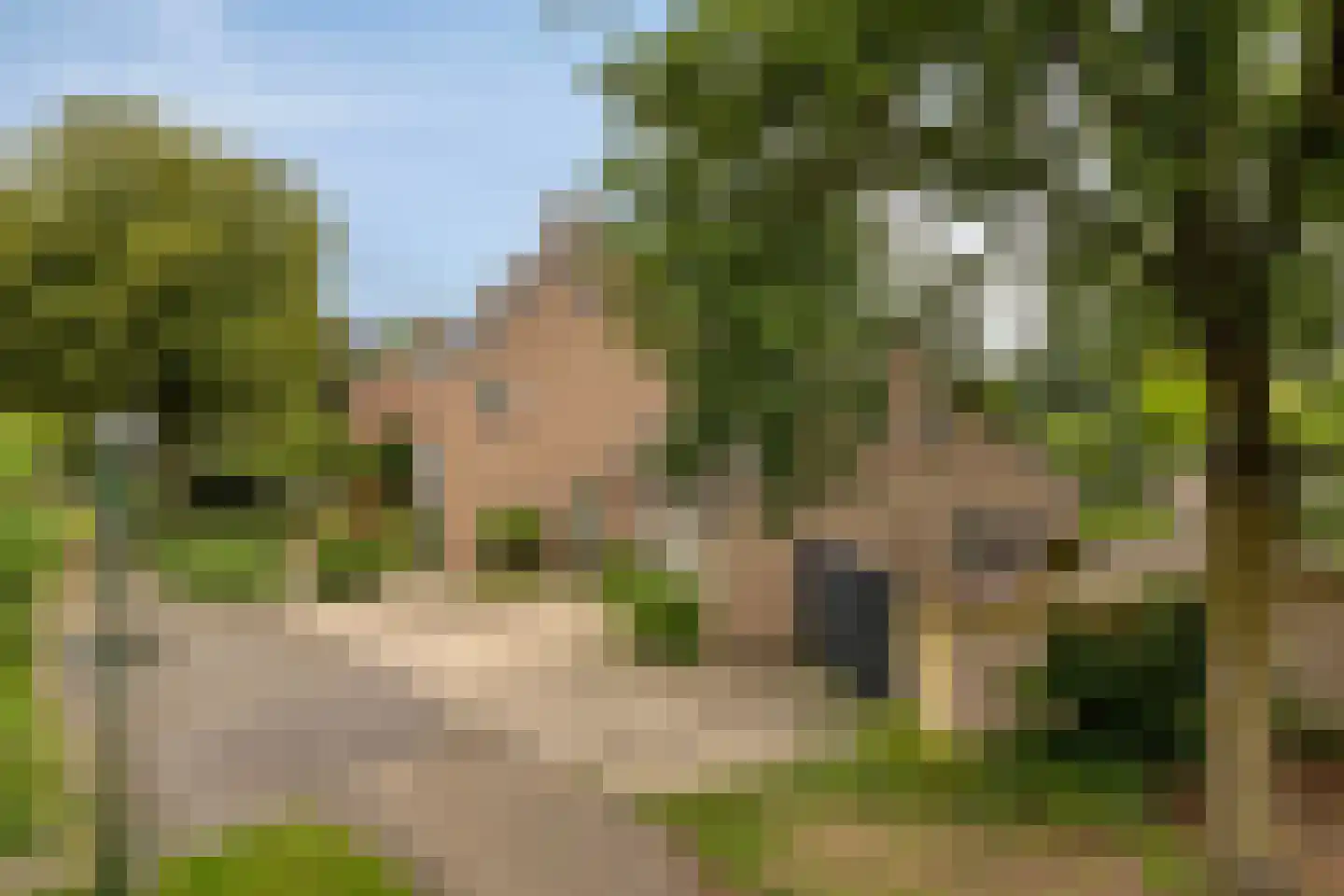 Velakker 19 Nuenen thumbnail 5