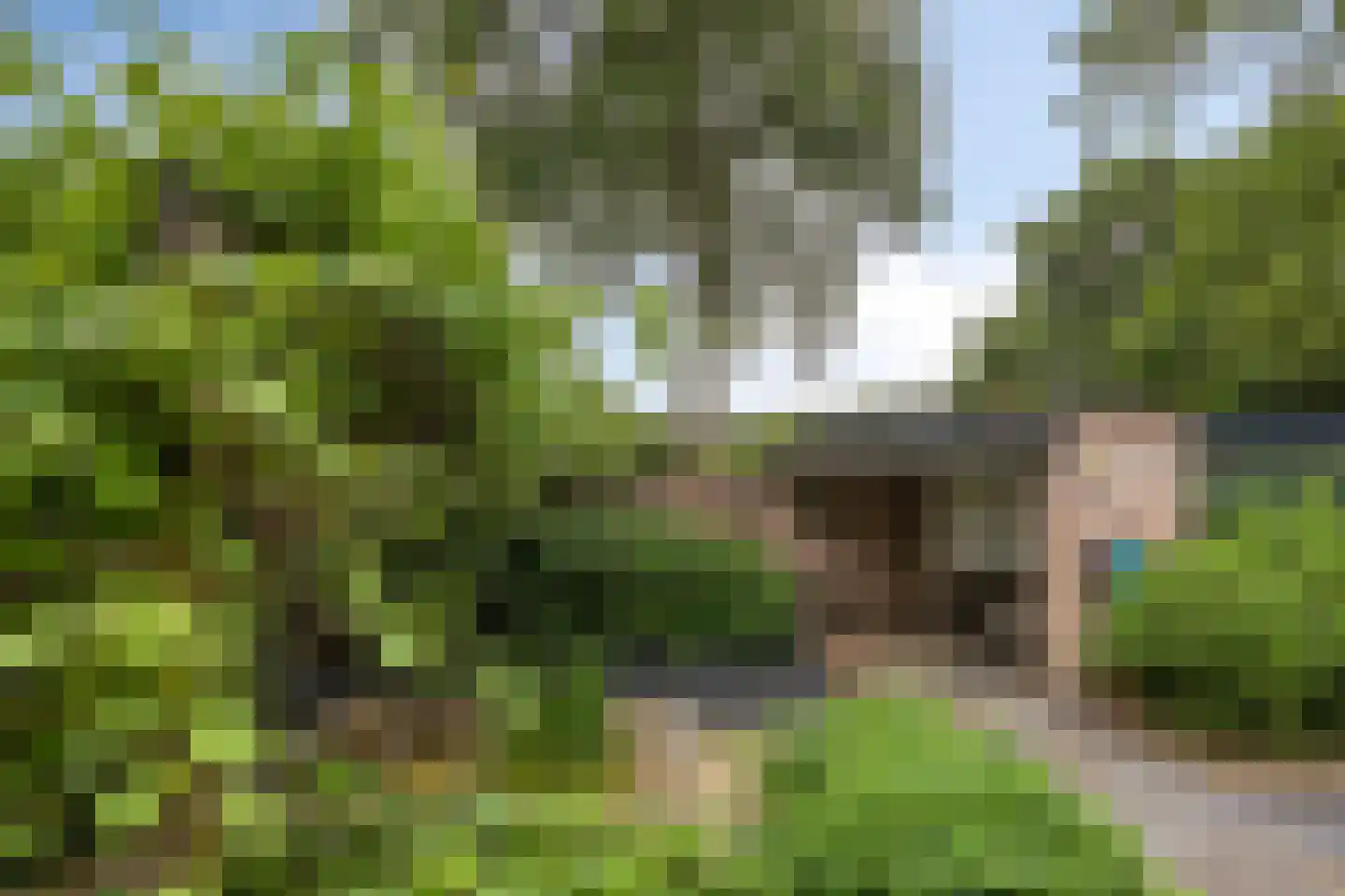 Velakker 19 Nuenen thumbnail 50