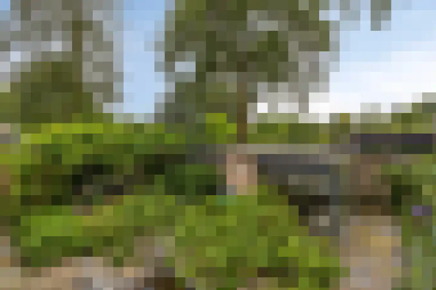 Velakker 19 Nuenen thumbnail 51