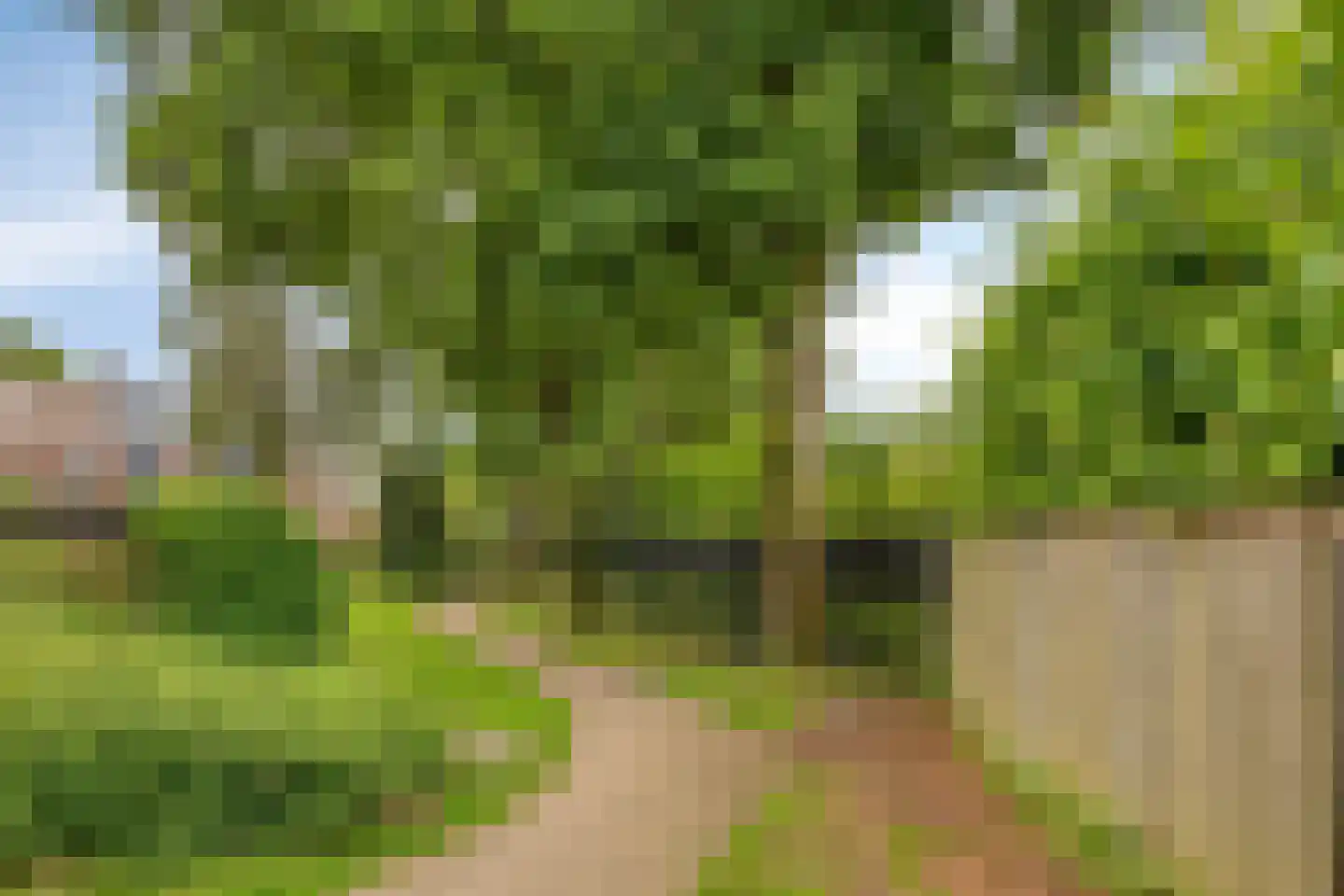 Velakker 19 Nuenen thumbnail 56