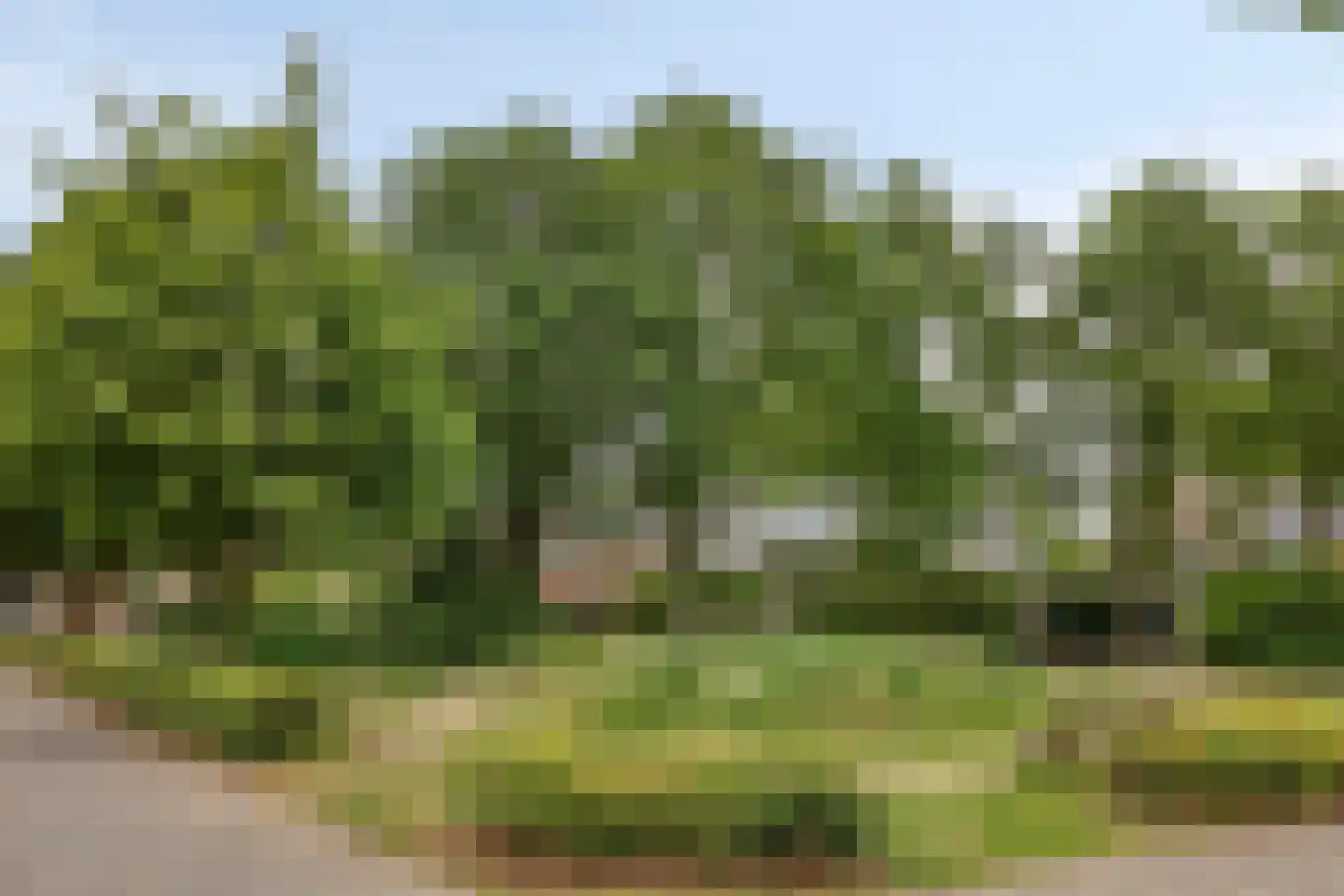 Velakker 19 Nuenen thumbnail 57
