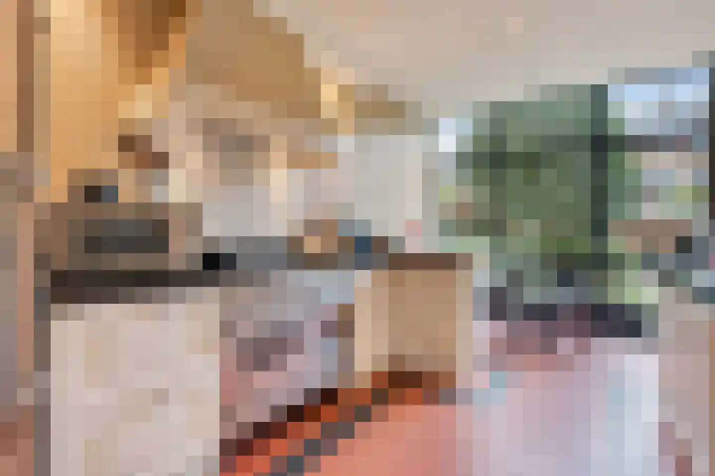 Velazquezstraat 12 Amsterdam thumbnail 7