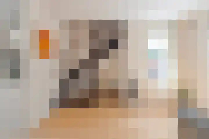 Veld 23 Dongen thumbnail 13