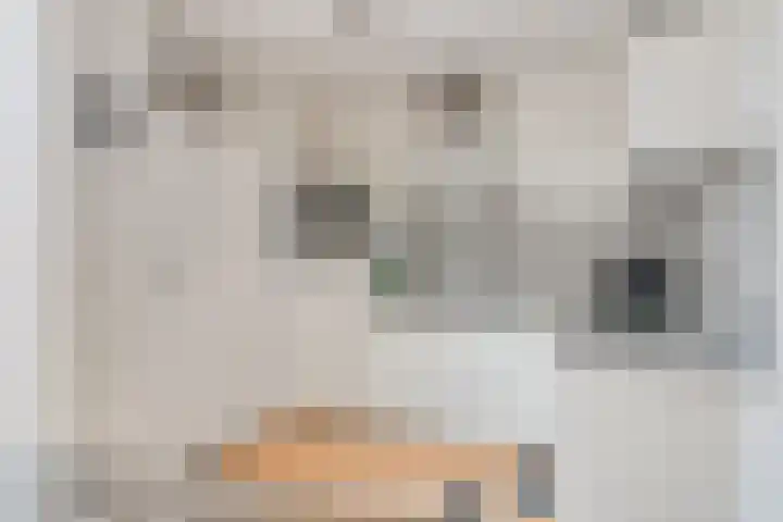 Veld 23 Dongen thumbnail 14