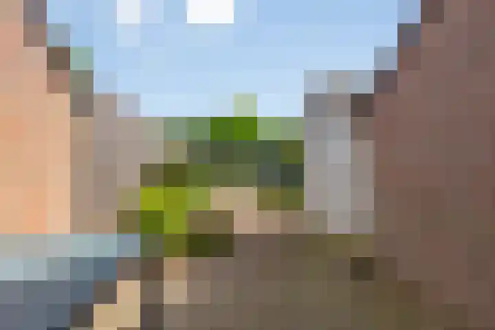 Veld 23 Dongen thumbnail 18
