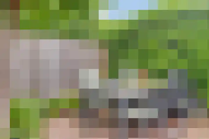 Veld 23 Dongen thumbnail 19