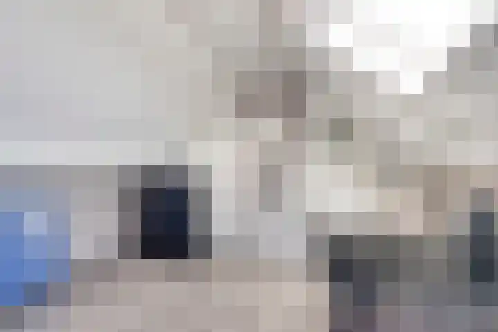 Veld 23 Dongen thumbnail 27
