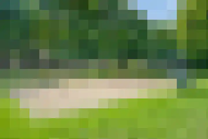 Veld 23 Dongen thumbnail 30