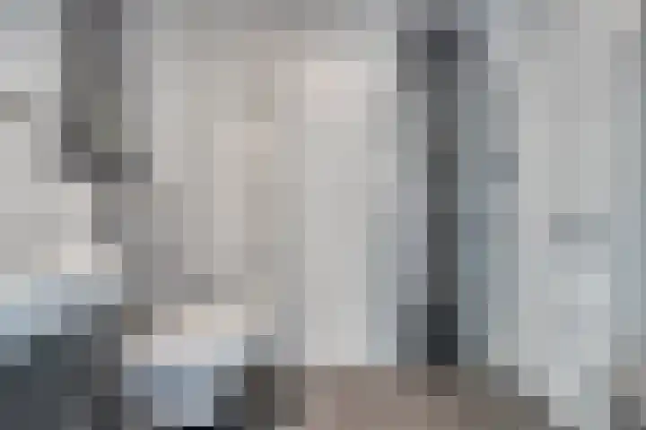 Veld 23 Dongen thumbnail 5