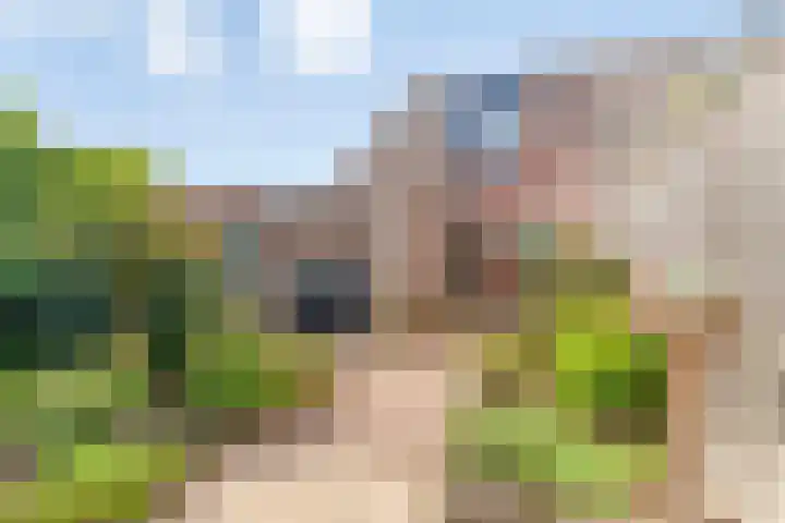 Veld 23 Dongen thumbnail 6