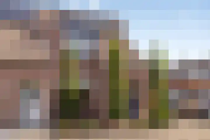 Veld 23 Dongen thumbnail 8