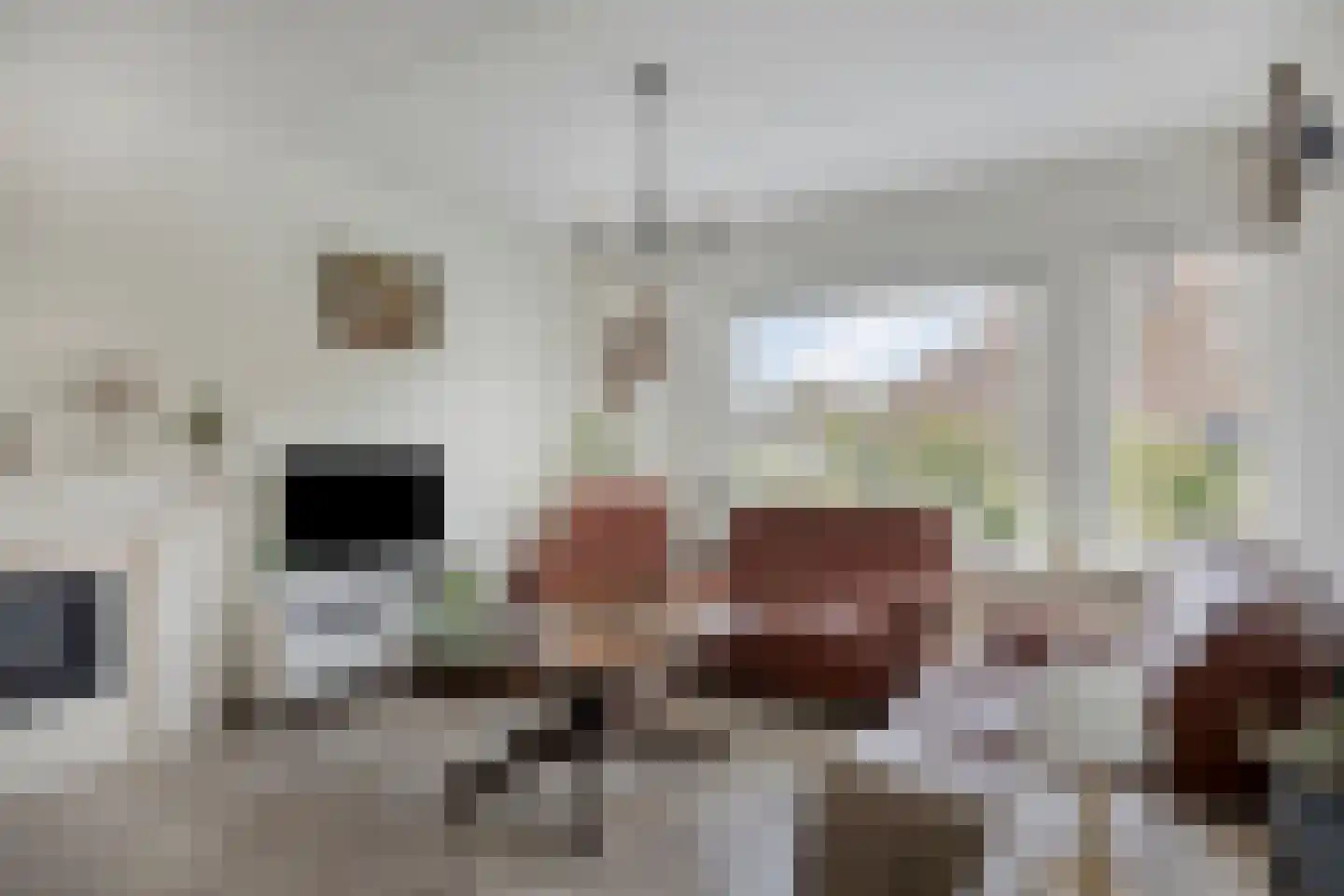 Veld 24 Dongen thumbnail 10