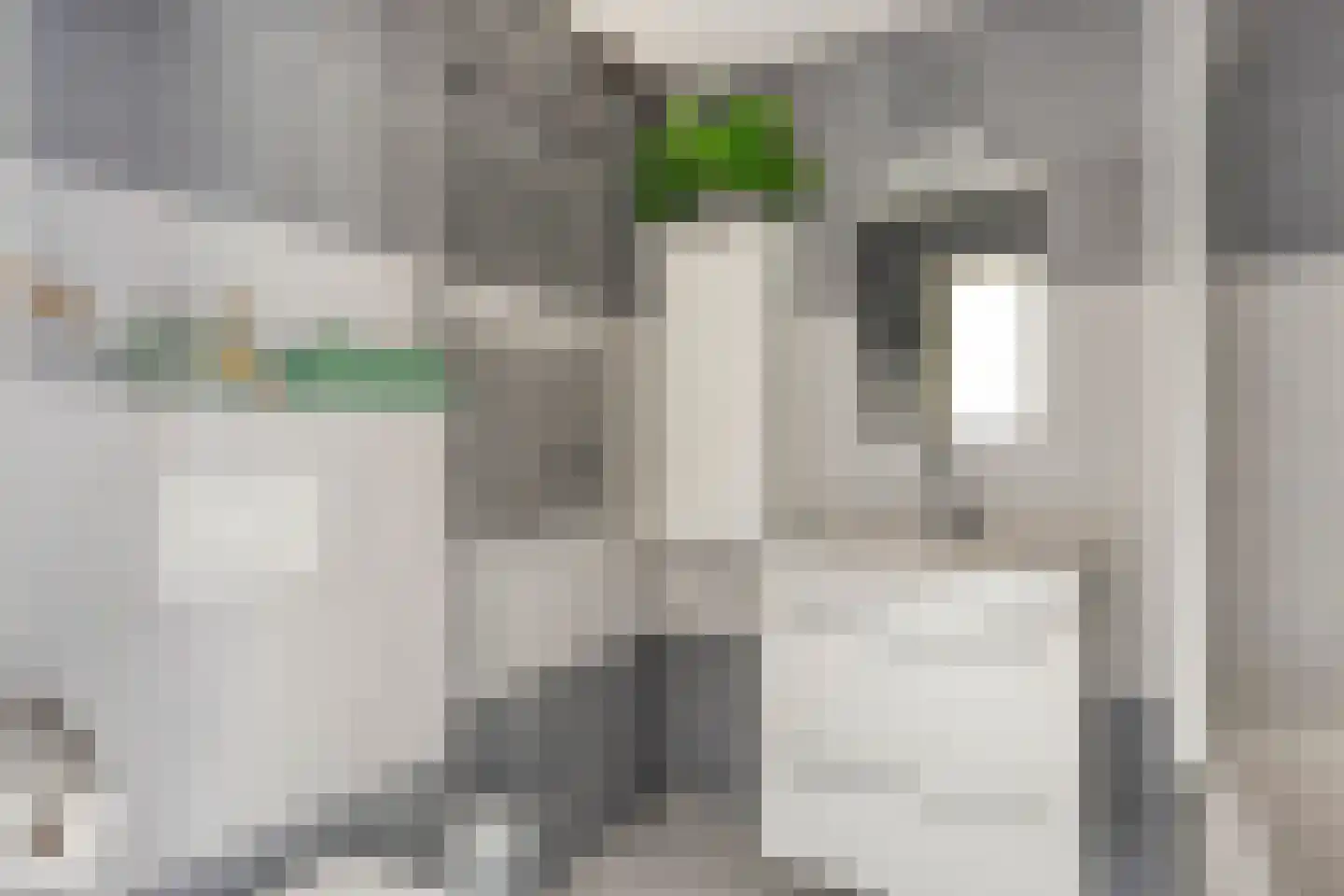 Veld 24 Dongen thumbnail 20