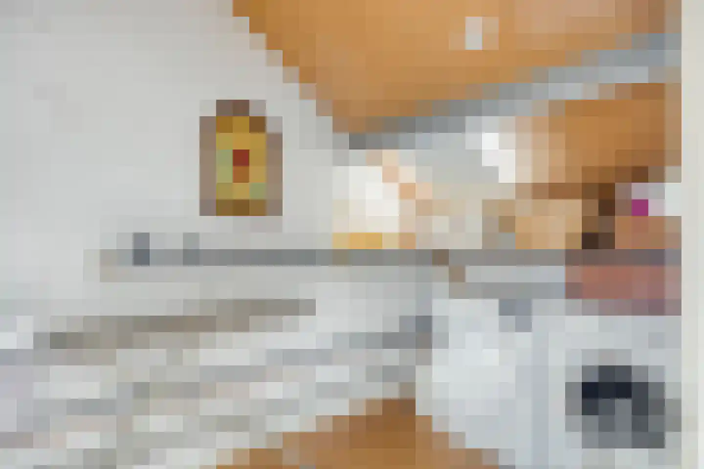 Veld 24 Dongen thumbnail 27