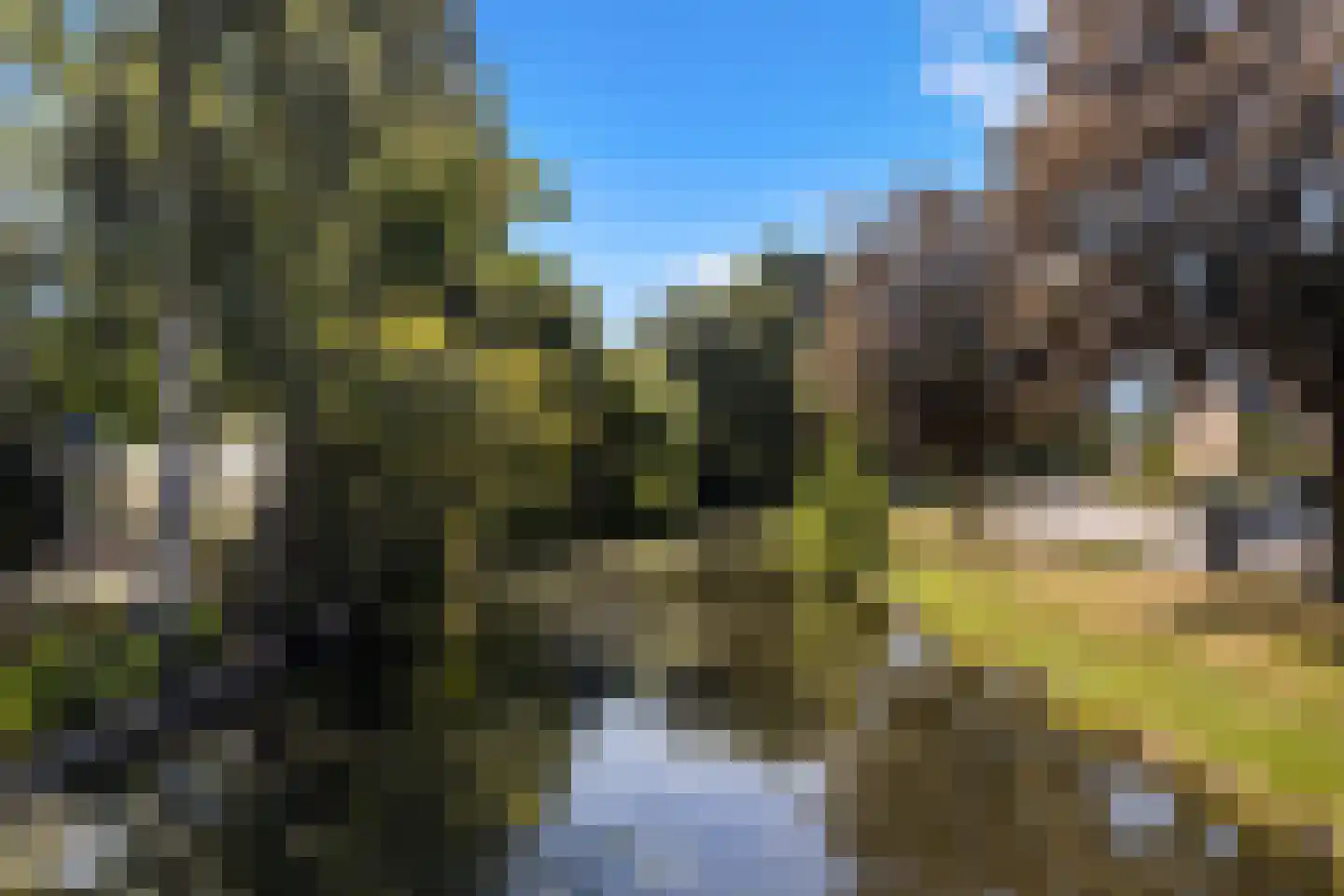 Veld en Beemd 67 Krimpen aan den IJssel thumbnail 29