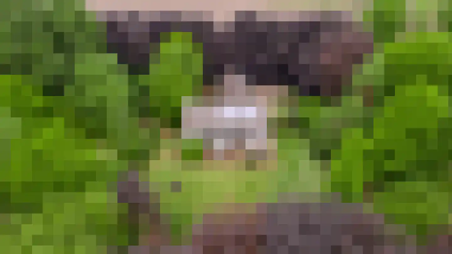 Veld-Oostenrijk 12 Horst thumbnail 10