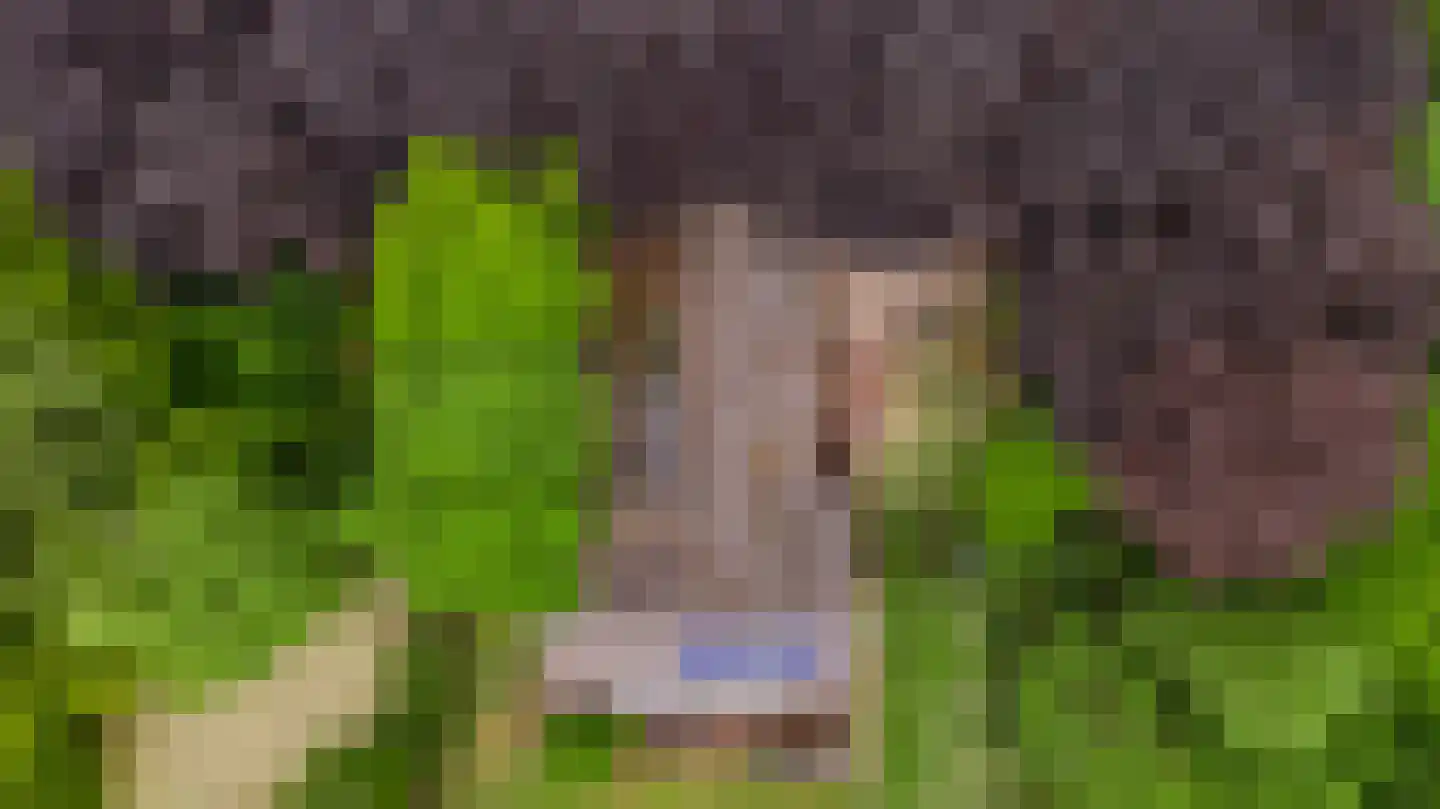 Veld-Oostenrijk 12 Horst thumbnail 13