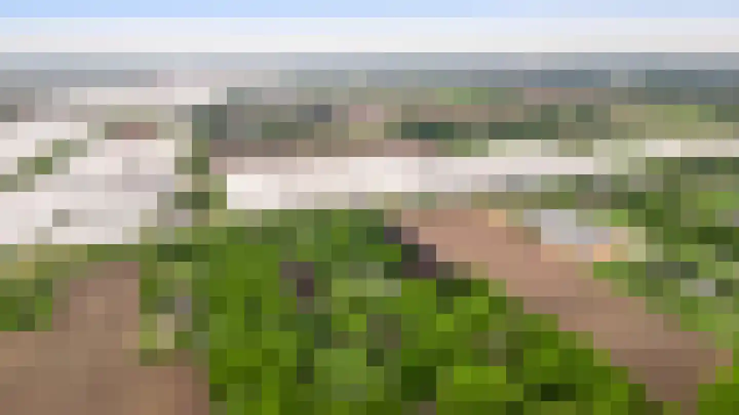Veld-Oostenrijk 12 Horst thumbnail 16