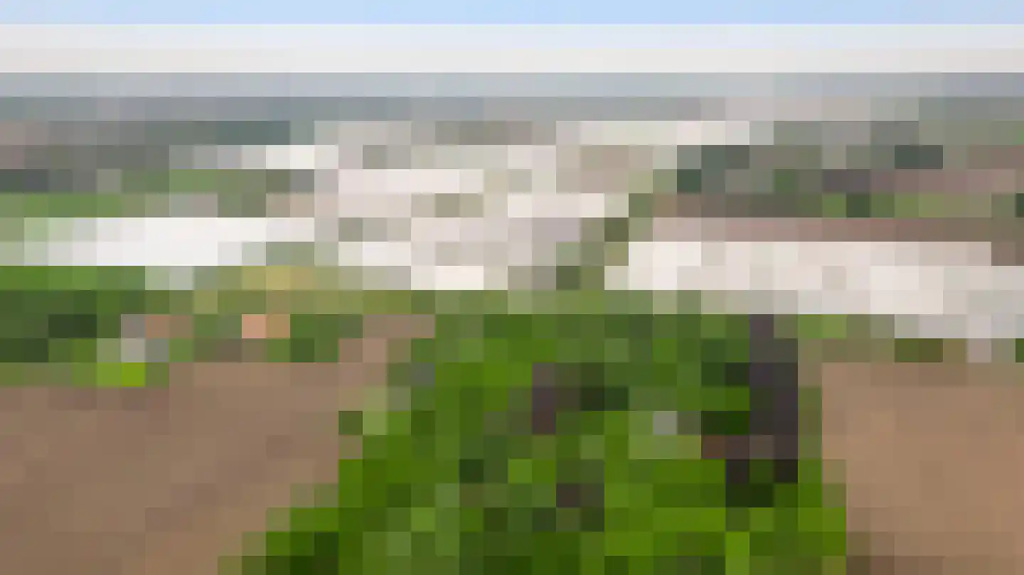 Veld-Oostenrijk 12 Horst thumbnail 17