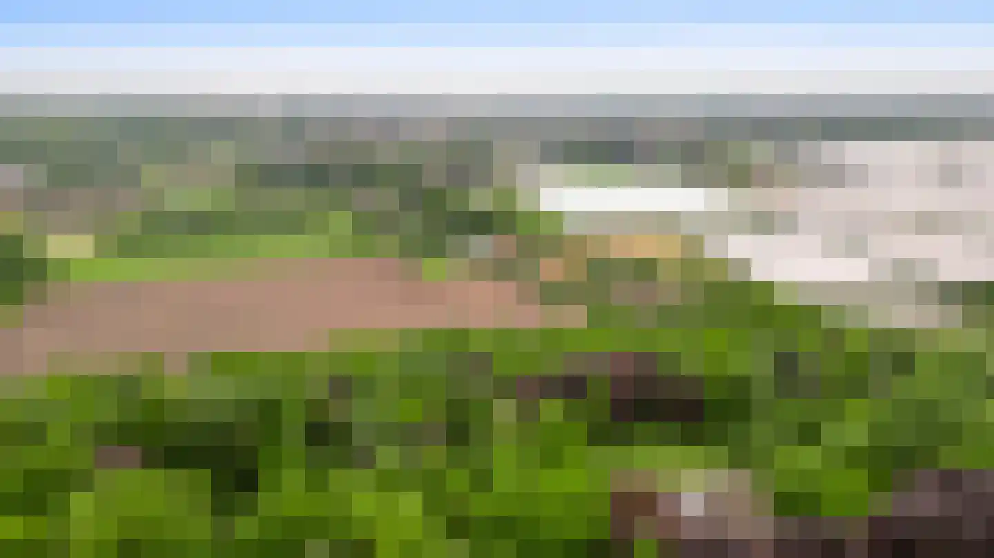 Veld-Oostenrijk 12 Horst thumbnail 18