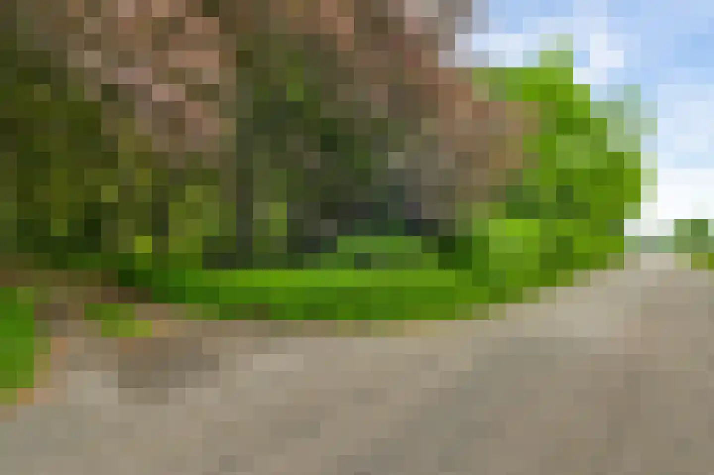 Veld-Oostenrijk 12 Horst thumbnail 21
