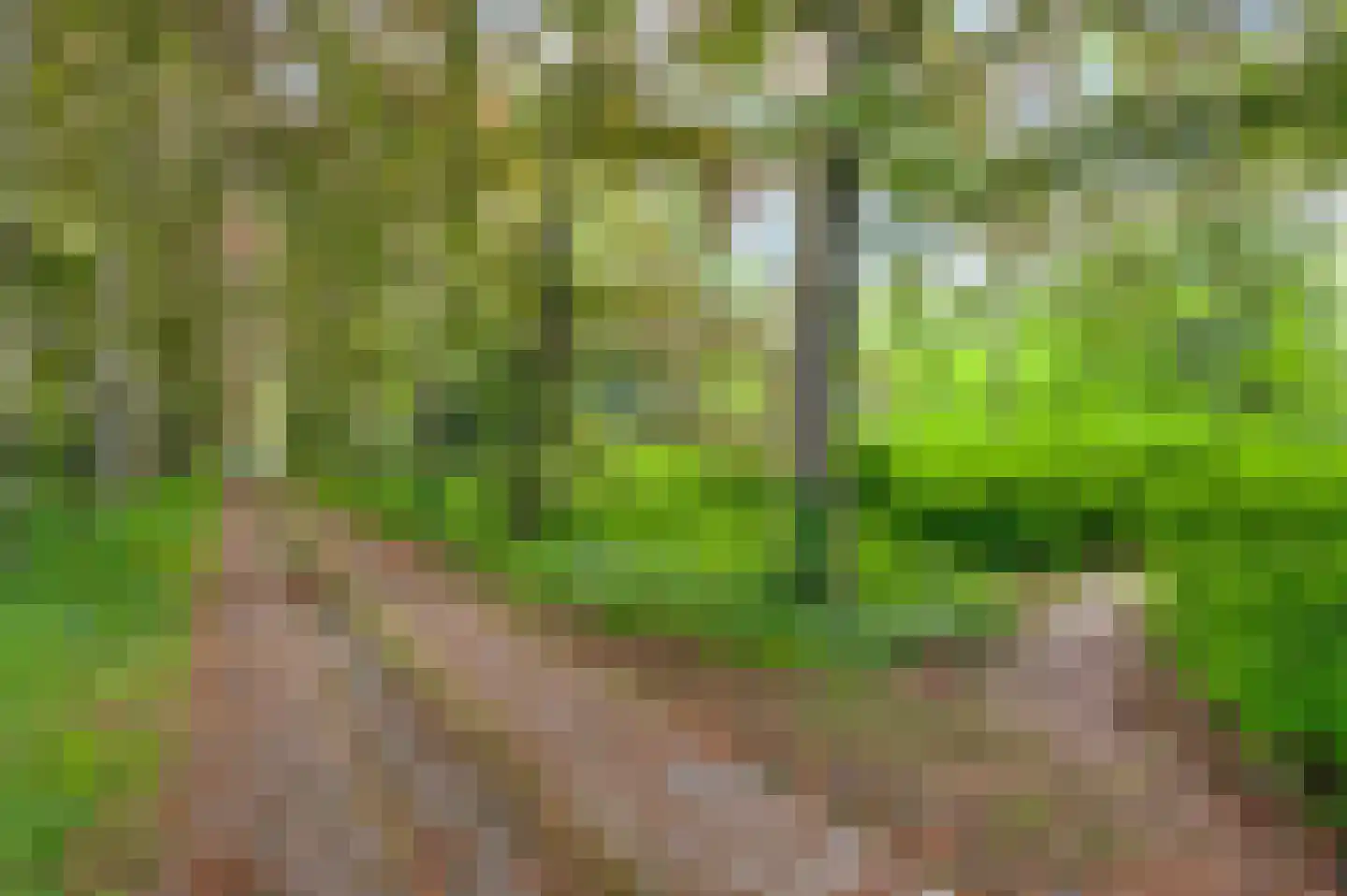 Veld-Oostenrijk 12 Horst thumbnail 22
