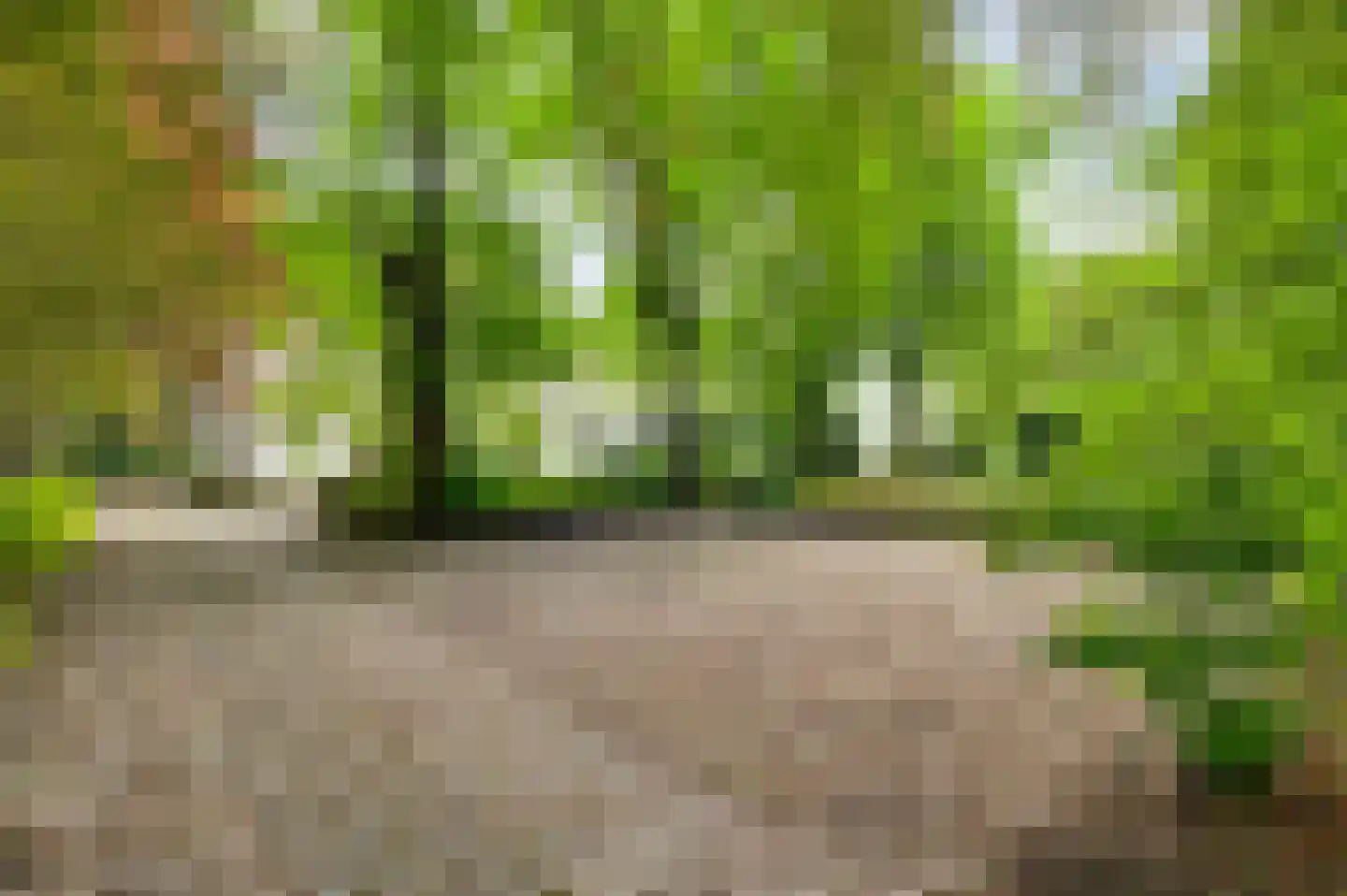 Veld-Oostenrijk 12 Horst thumbnail 23