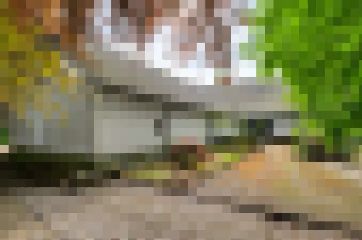 Veld-Oostenrijk 12 Horst thumbnail 24