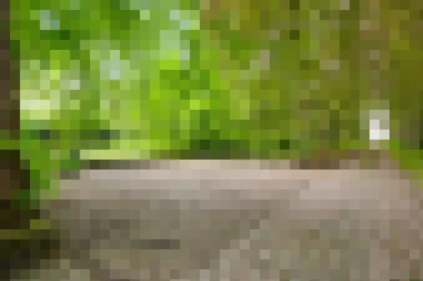 Veld-Oostenrijk 12 Horst thumbnail 25