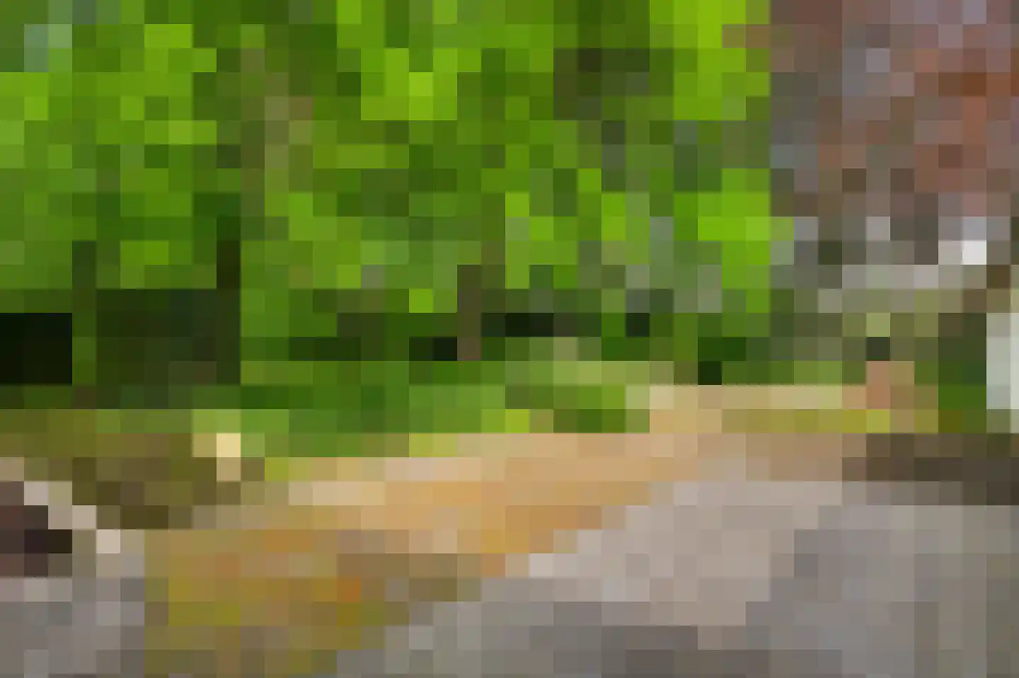 Veld-Oostenrijk 12 Horst thumbnail 26