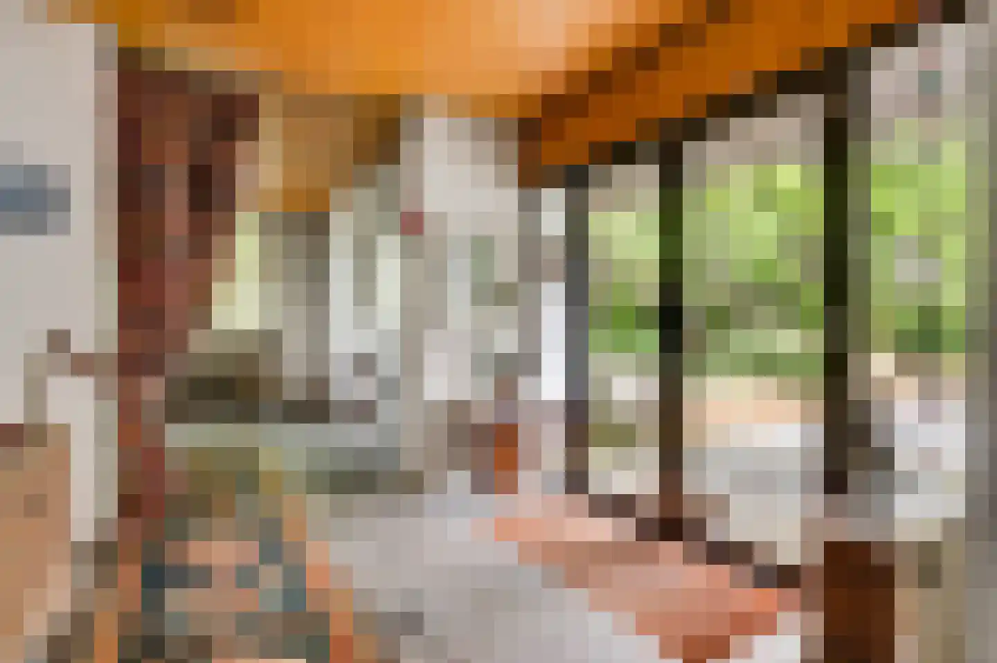 Veld-Oostenrijk 12 Horst thumbnail 28
