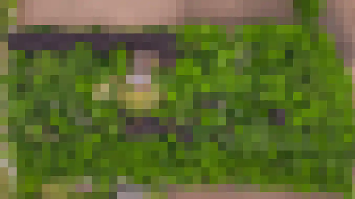 Veld-Oostenrijk 12 Horst thumbnail 4