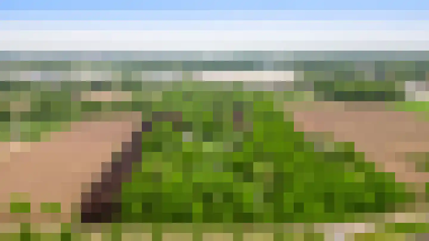 Veld-Oostenrijk 12 Horst thumbnail 6