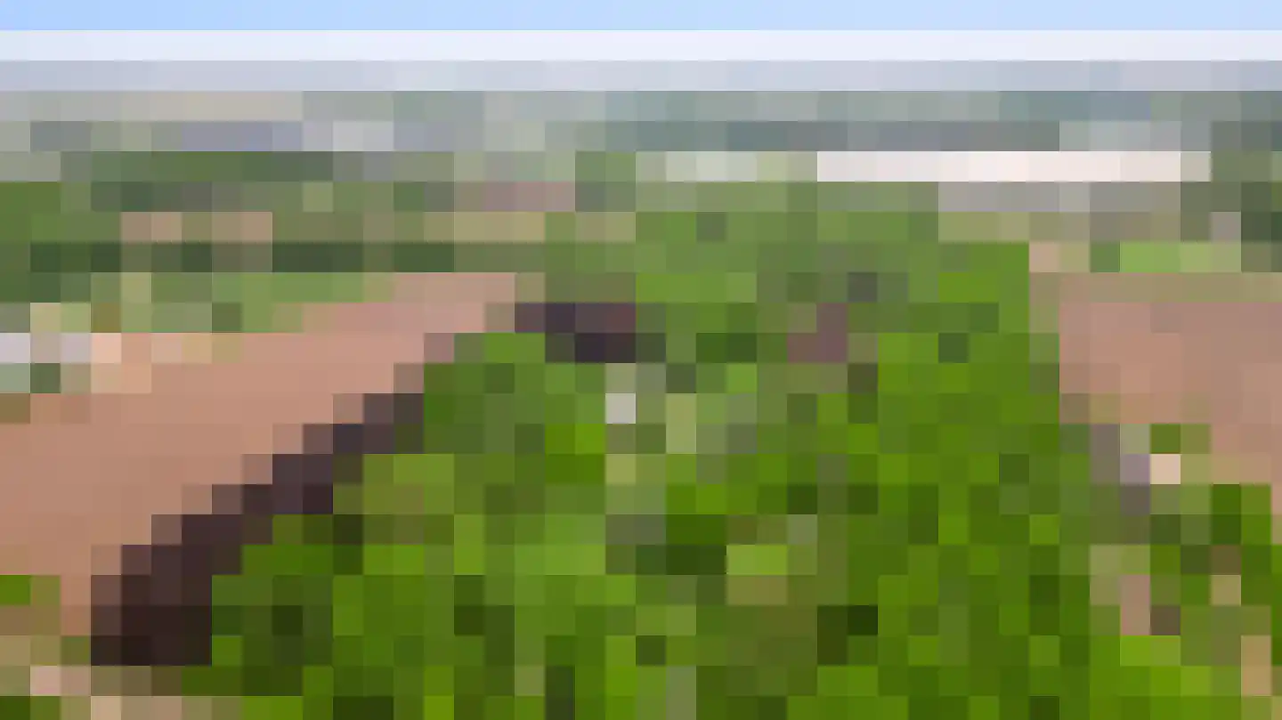 Veld-Oostenrijk 12 Horst thumbnail 7